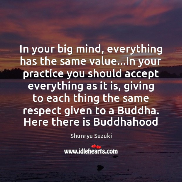 In your big mind, everything has the same value…In your practice Shunryu Suzuki Picture Quote
