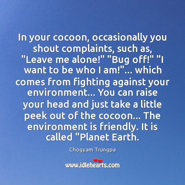 In your cocoon, occasionally you shout complaints, such as, “Leave me alone!” “ Chogyam Trungpa Picture Quote
