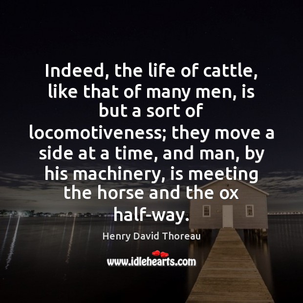Indeed, the life of cattle, like that of many men, is but Henry David Thoreau Picture Quote