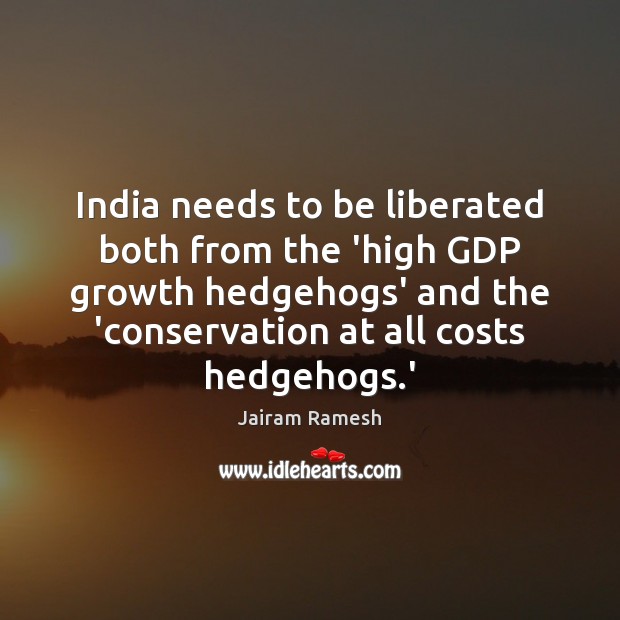 India needs to be liberated both from the ‘high GDP growth hedgehogs’ Image