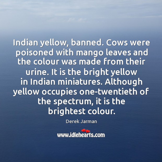 Indian yellow, banned. Cows were poisoned with mango leaves and the colour Derek Jarman Picture Quote