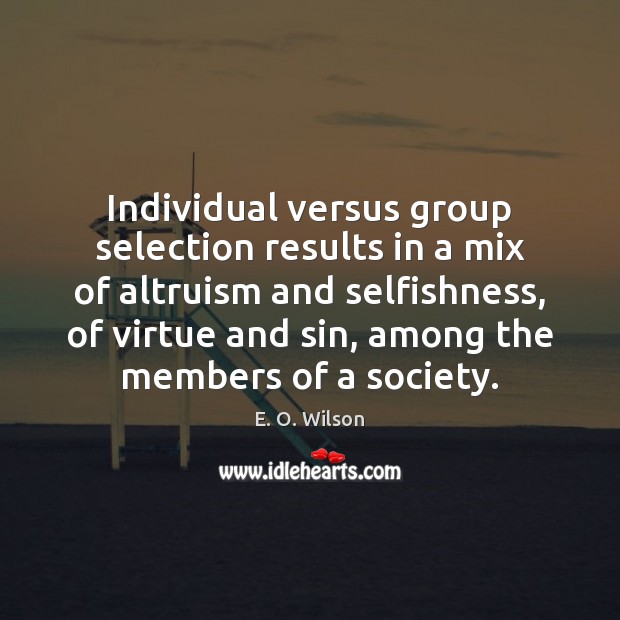 Individual versus group selection results in a mix of altruism and selfishness, Image