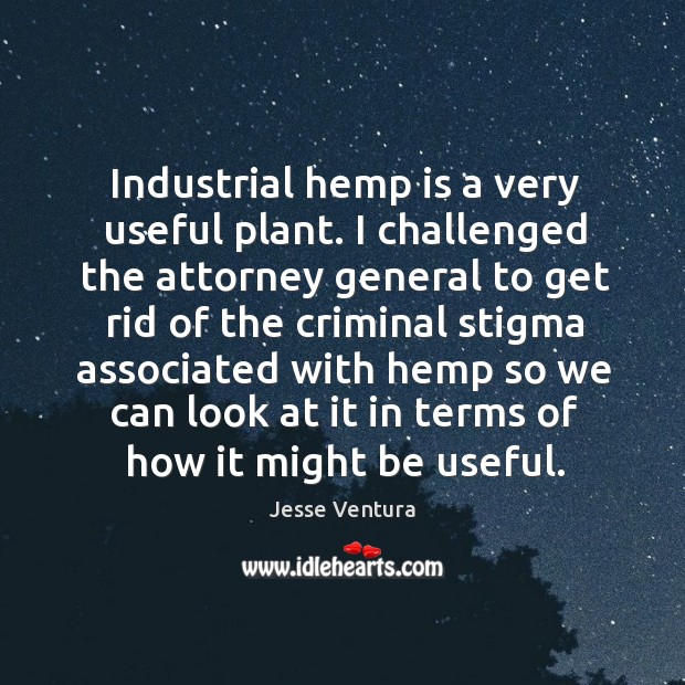 Industrial hemp is a very useful plant. Image