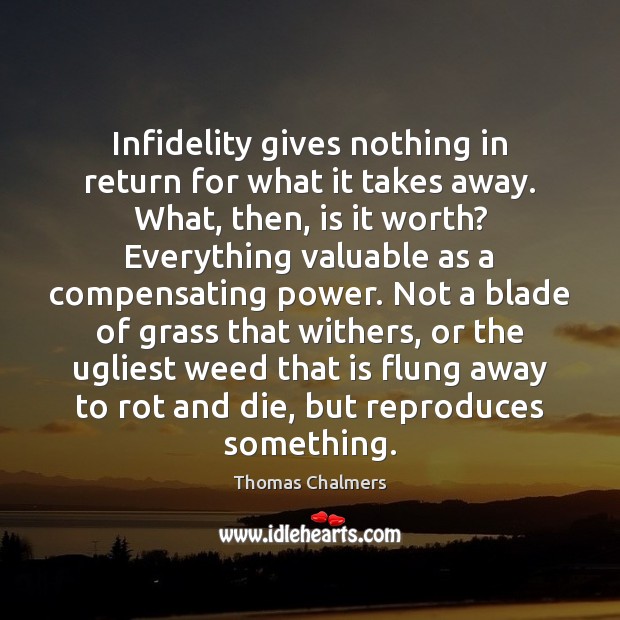 Infidelity gives nothing in return for what it takes away. What, then, Thomas Chalmers Picture Quote