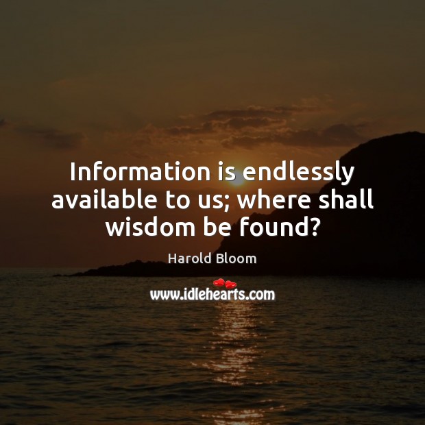 Information is endlessly available to us; where shall wisdom be found? Harold Bloom Picture Quote