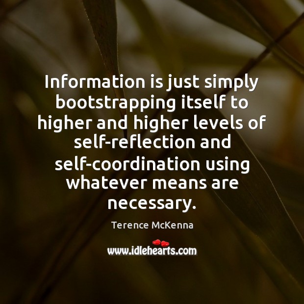 Information is just simply bootstrapping itself to higher and higher levels of Terence McKenna Picture Quote