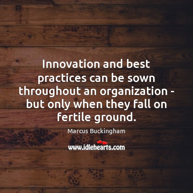 Innovation and best practices can be sown throughout an organization – but Marcus Buckingham Picture Quote