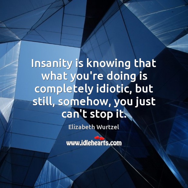 Insanity is knowing that what you’re doing is completely idiotic, but still, Elizabeth Wurtzel Picture Quote