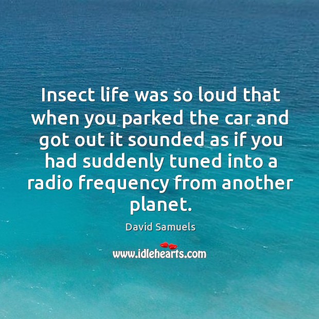 Insect life was so loud that when you parked the car and David Samuels Picture Quote