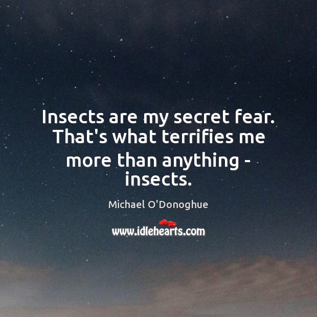 Insects are my secret fear. That’s what terrifies me more than anything – insects. Michael O’Donoghue Picture Quote