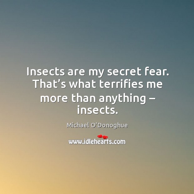Insects are my secret fear. That’s what terrifies me more than anything – insects. Image