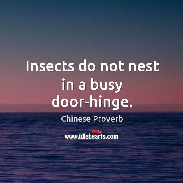 Insects do not nest in a busy door-hinge. Image