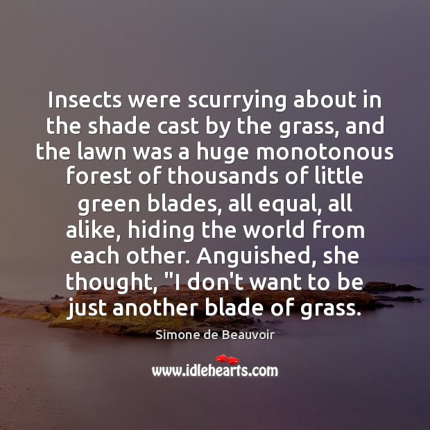 Insects were scurrying about in the shade cast by the grass, and Simone de Beauvoir Picture Quote