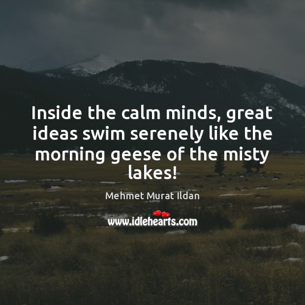 Inside the calm minds, great ideas swim serenely like the morning geese Mehmet Murat Ildan Picture Quote