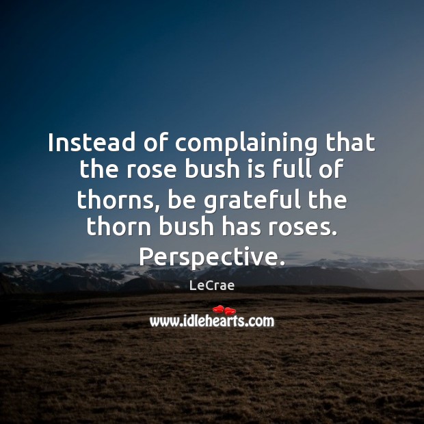 Instead of complaining that the rose bush is full of thorns, be Be Grateful Quotes Image