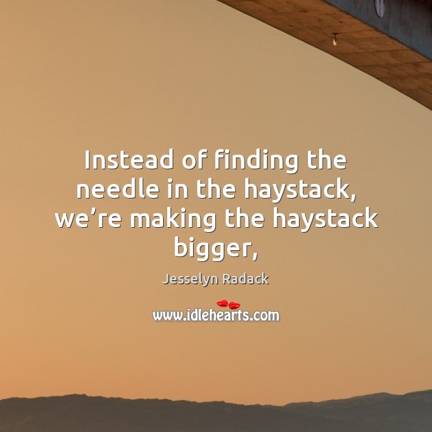 Instead of finding the needle in the haystack, we’re making the haystack bigger, Jesselyn Radack Picture Quote