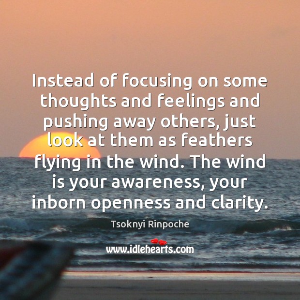 Instead of focusing on some thoughts and feelings and pushing away others, Tsoknyi Rinpoche Picture Quote