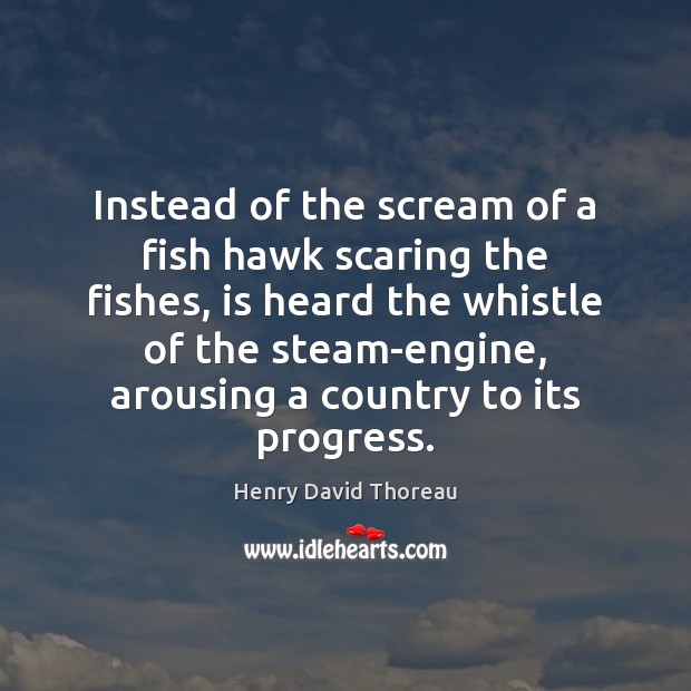 Instead of the scream of a fish hawk scaring the fishes, is Image