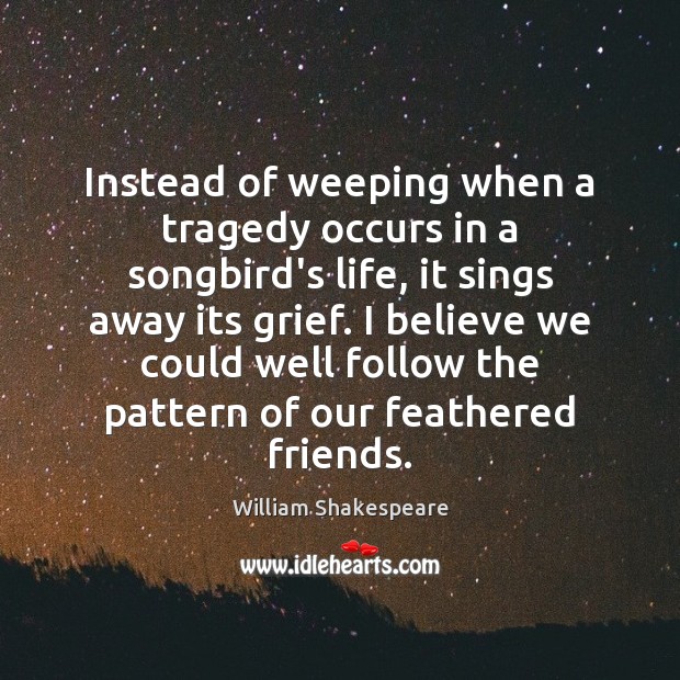 Instead of weeping when a tragedy occurs in a songbird’s life, it Image