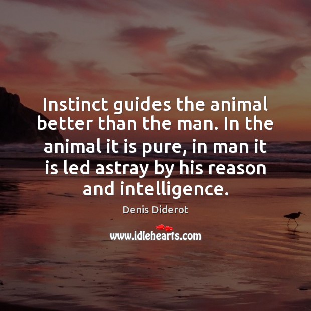 Instinct guides the animal better than the man. In the animal it Denis Diderot Picture Quote