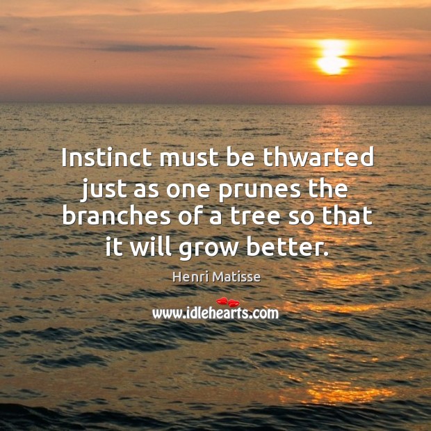 Instinct must be thwarted just as one prunes the branches of a Henri Matisse Picture Quote