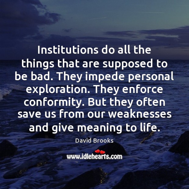Institutions do all the things that are supposed to be bad. They David Brooks Picture Quote