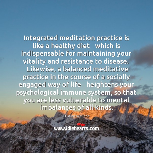 Integrated meditation practice is like a healthy diet   which is indispensable for B. Alan Wallace Picture Quote