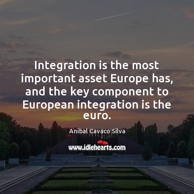 Integration is the most important asset Europe has, and the key component Image
