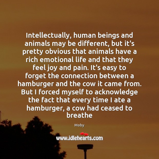 Intellectually, human beings and animals may be different, but it’s pretty obvious Moby Picture Quote