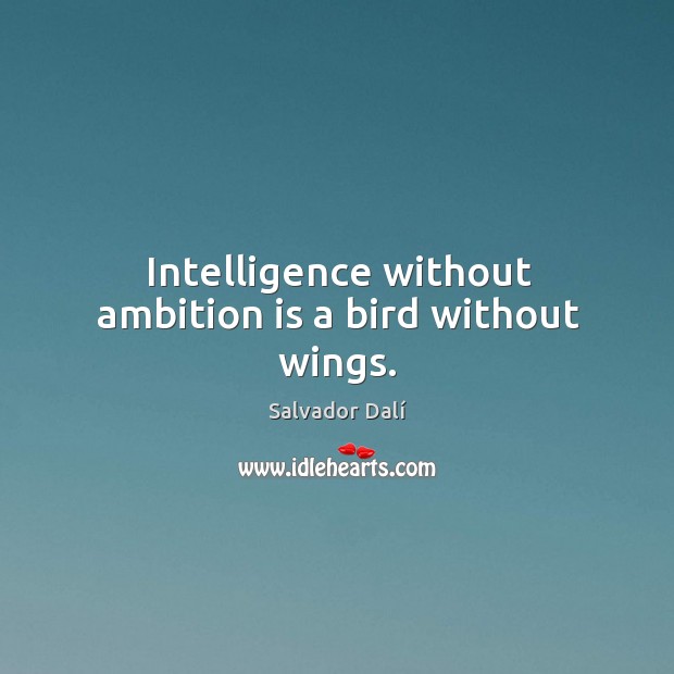 Intelligence without ambition is a bird without wings. Salvador Dalí Picture Quote