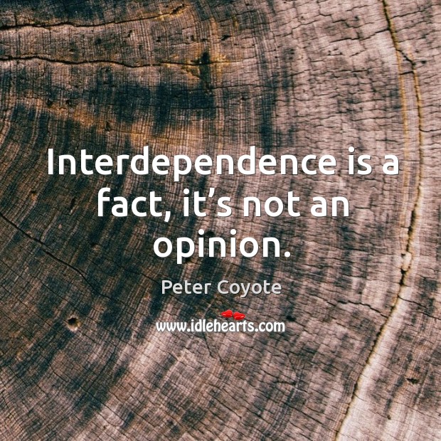 Interdependence is a fact, it’s not an opinion. Peter Coyote Picture Quote