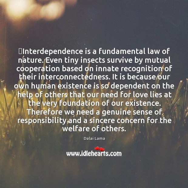 ‎Interdependence is a fundamental law of nature. Even tiny insects survive by Dalai Lama Picture Quote