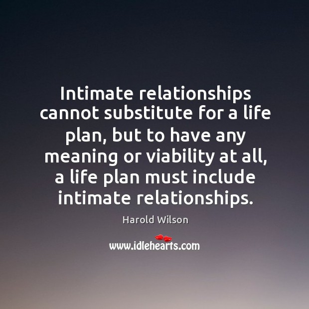 Intimate relationships cannot substitute for a life plan, but to have any meaning or viability at all Image