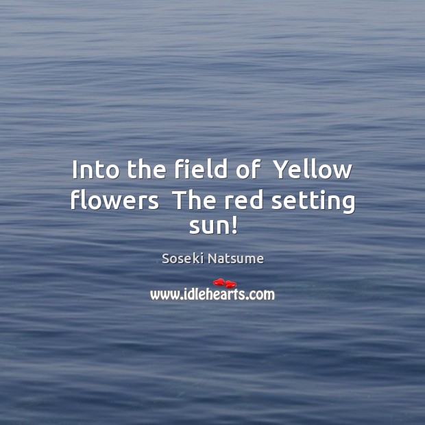 Into the field of  Yellow flowers  The red setting sun! Soseki Natsume Picture Quote