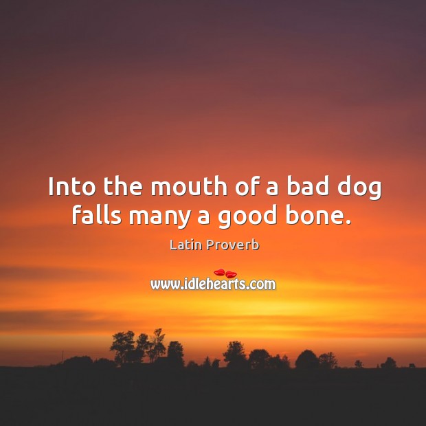 Into the mouth of a bad dog falls many a good bone. Latin Proverbs Image