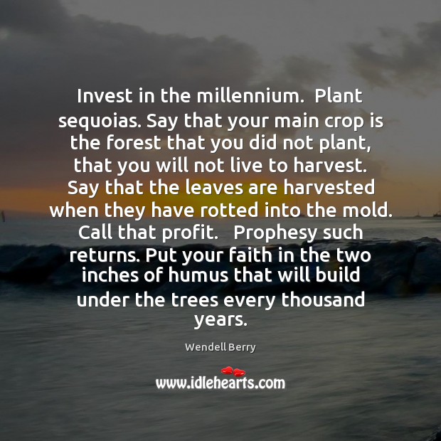 Invest in the millennium.  Plant sequoias. Say that your main crop is Wendell Berry Picture Quote