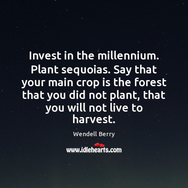 Invest in the millennium. Plant sequoias. Say that your main crop is Wendell Berry Picture Quote