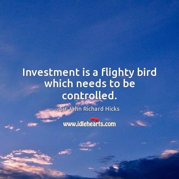 Investment is a flighty bird which needs to be controlled. Sir John Richard Hicks Picture Quote