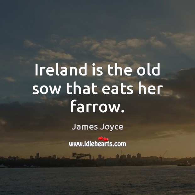 Ireland is the old sow that eats her farrow. James Joyce Picture Quote
