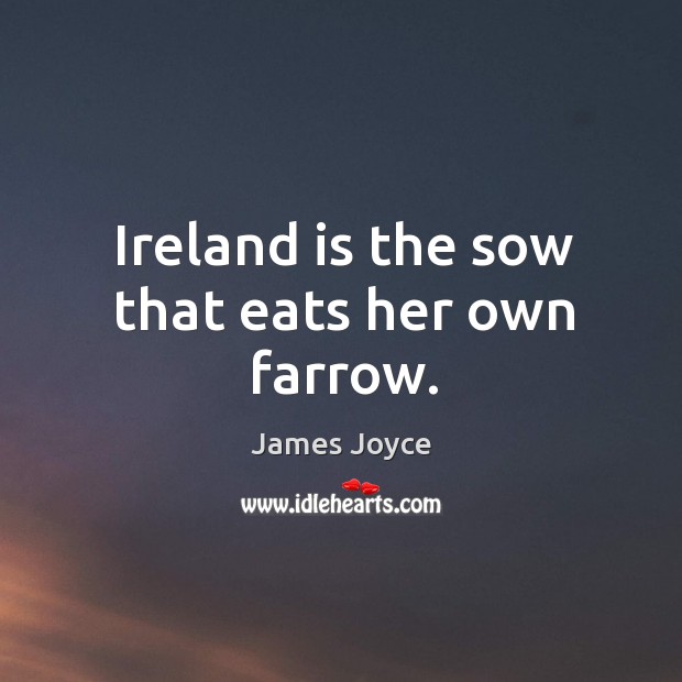Ireland is the sow that eats her own farrow. Image