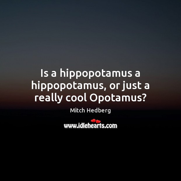 Is a hippopotamus a hippopotamus, or just a really cool Opotamus? Mitch Hedberg Picture Quote