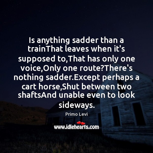Is anything sadder than a trainThat leaves when it’s supposed to,That Primo Levi Picture Quote