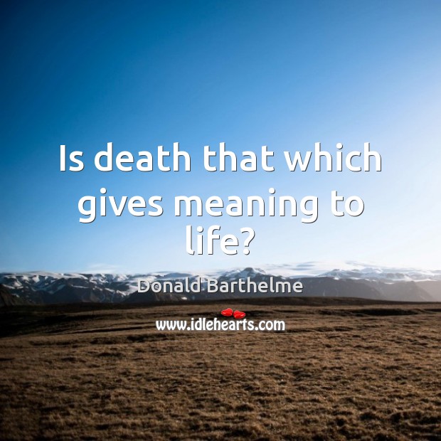 Is death that which gives meaning to life? Donald Barthelme Picture Quote