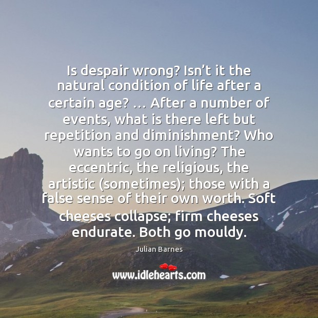 Is despair wrong? Isn’t it the natural condition of life after Julian Barnes Picture Quote