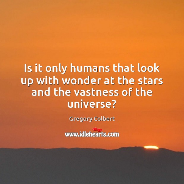 Is it only humans that look up with wonder at the stars and the vastness of the universe? Image