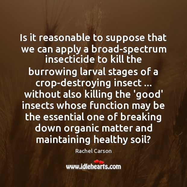 Is it reasonable to suppose that we can apply a broad-spectrum insecticide 