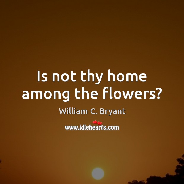 Is not thy home among the flowers? William C. Bryant Picture Quote