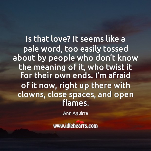 Is that love? It seems like a pale word, too easily tossed Ann Aguirre Picture Quote