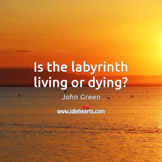 Is the labyrinth living or dying? John Green Picture Quote
