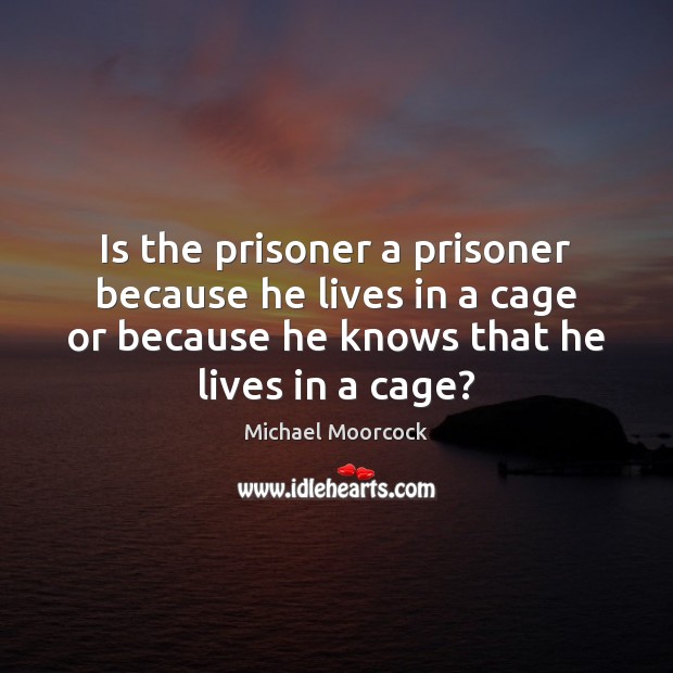Is the prisoner a prisoner because he lives in a cage or Michael Moorcock Picture Quote